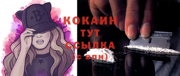 стаф Липки