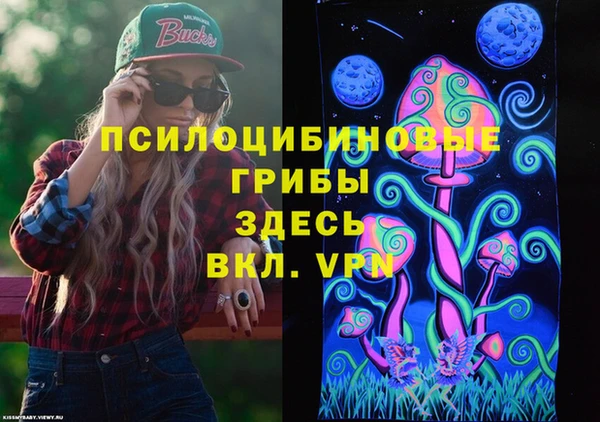 стаф Липки