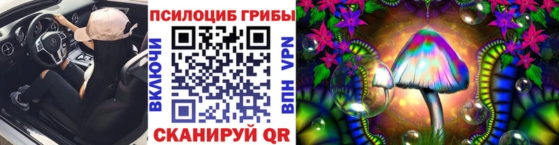 блэк спрут tor  Ладушкин  Галлюциногенные грибы ЛСД 